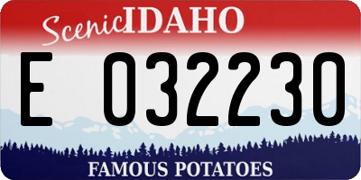 ID license plate E032230