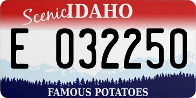 ID license plate E032250