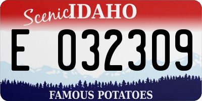 ID license plate E032309