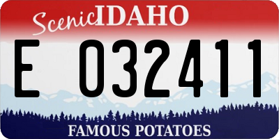ID license plate E032411