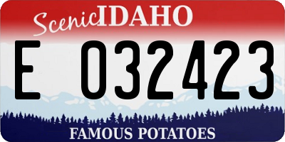 ID license plate E032423