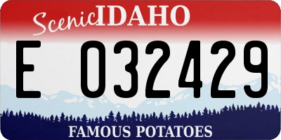 ID license plate E032429