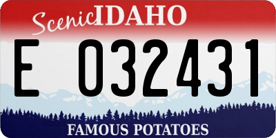 ID license plate E032431