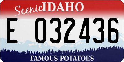 ID license plate E032436