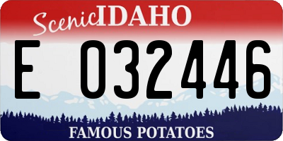 ID license plate E032446