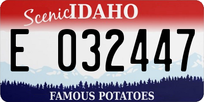 ID license plate E032447