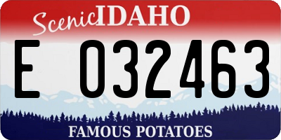 ID license plate E032463