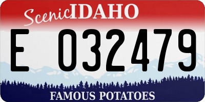 ID license plate E032479