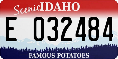 ID license plate E032484
