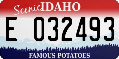 ID license plate E032493