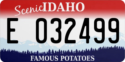 ID license plate E032499