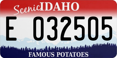 ID license plate E032505