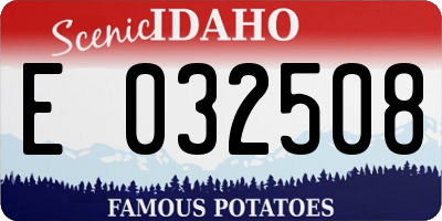 ID license plate E032508