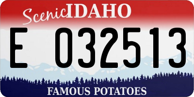 ID license plate E032513