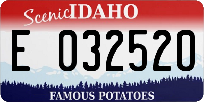 ID license plate E032520