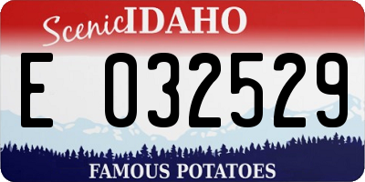 ID license plate E032529