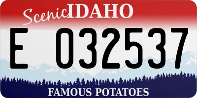 ID license plate E032537