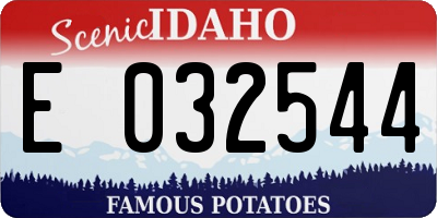 ID license plate E032544