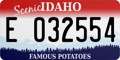 ID license plate E032554