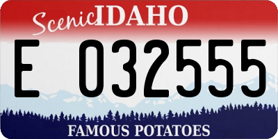 ID license plate E032555