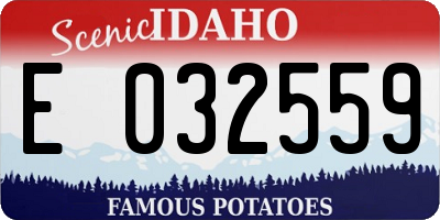 ID license plate E032559