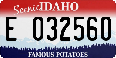 ID license plate E032560