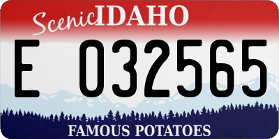 ID license plate E032565