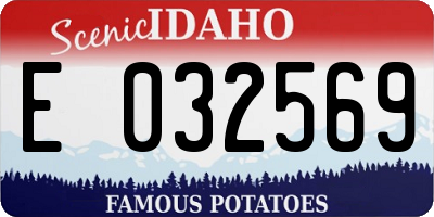 ID license plate E032569