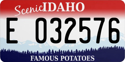 ID license plate E032576