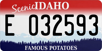 ID license plate E032593