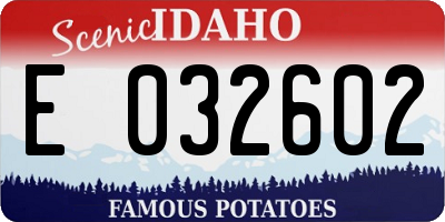 ID license plate E032602