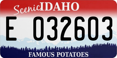ID license plate E032603