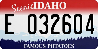 ID license plate E032604