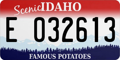 ID license plate E032613