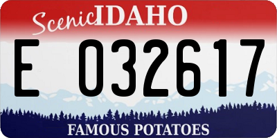 ID license plate E032617