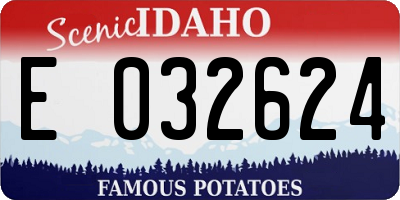ID license plate E032624