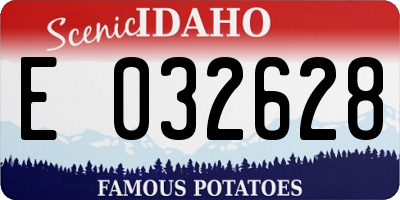 ID license plate E032628