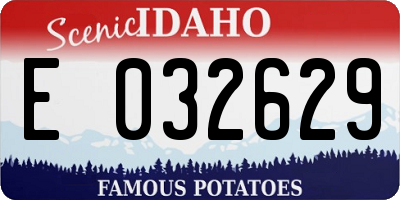 ID license plate E032629