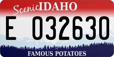 ID license plate E032630