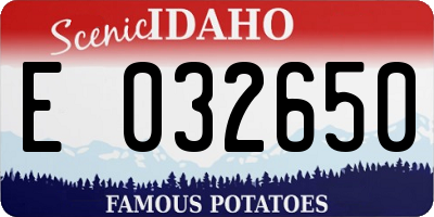 ID license plate E032650