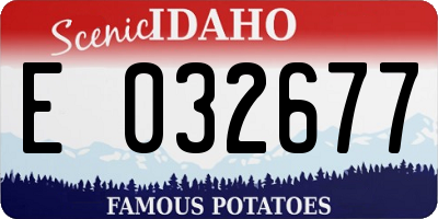 ID license plate E032677