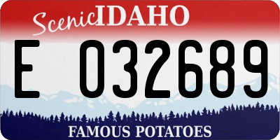 ID license plate E032689