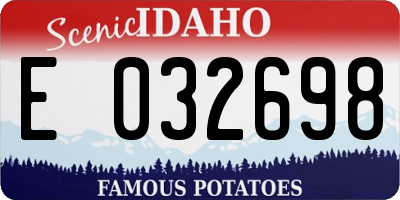 ID license plate E032698