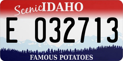 ID license plate E032713