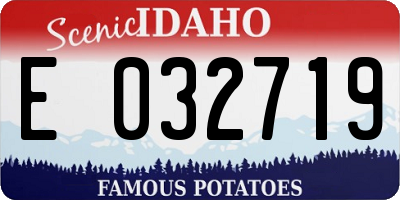 ID license plate E032719