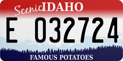 ID license plate E032724