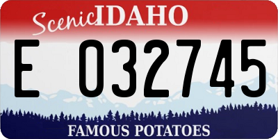 ID license plate E032745