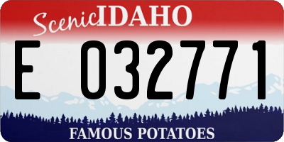 ID license plate E032771