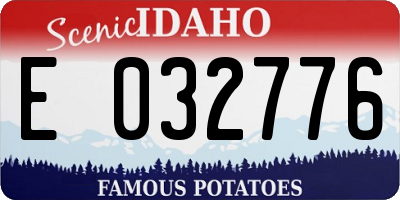 ID license plate E032776