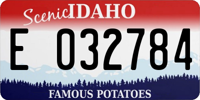 ID license plate E032784